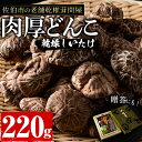 【ふるさと納税】肉厚どんこ (220g) 原木栽培 干し椎茸 乾椎茸 しいたけ きのこ 出汁 老舗乾椎茸問屋がお届け! 贈答 大分県 佐伯市【EB01】【五十川 (株)】