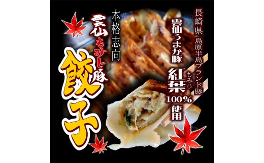 元祖 島原伝統手延べラーメン 雲仙もみじ豚餃子詰合せ_イメージ3