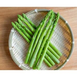 きのした農園の春アスパラガス　＜4月中旬より発送開始＞