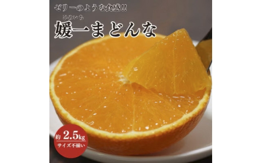 【先行受付】ゼリーのような食感!「媛一まどんな」約2.5kg入＜C28-42＞_みかん ミカン マドンナ 紅まどんな同品種 柑橘 柑橘類 フルーツ 果物 くだもの 人気 美味しい 愛媛県 八幡浜 ふるさと【1437098】 YWTN029