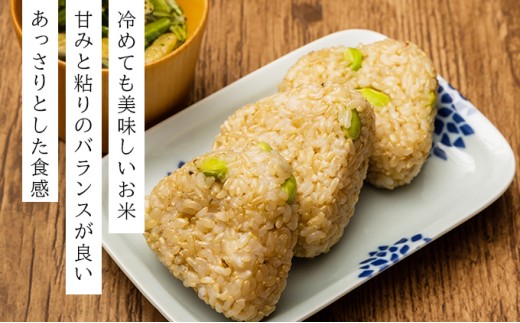令和8年産！ファーム坂口の特別栽培米 ななつぼし玄米 10kg (10kg×1袋) 10kg (10kg×1袋)