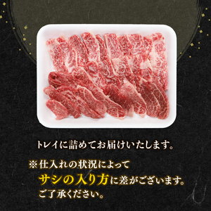 訳あり 知多牛 焼肉セット 600g (600g×1) 冷凍 部位おまかせ 知多牛響 有限会社寿屋精肉店