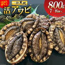 【ふるさと納税】海鮮 訳あり 三陸産 活アワビ 800g (7～8個) [マルヤ五洋水産 宮城県 南三陸町 30al0006] 魚介類 あわび 鮑 天然 蝦夷あわび 貝 冷蔵 刺身 刺し身 活き ステーキ