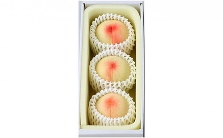 白桃 3玉 約800g 岡山県産 【先行予約 2025年7月上旬から順次発送】