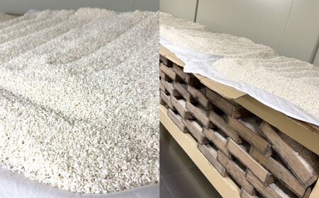 大将の米麹 500g×2袋 計1kg 米麹 麹 糀 米 発酵食品 こうじ 冷蔵 福岡県 北九州市