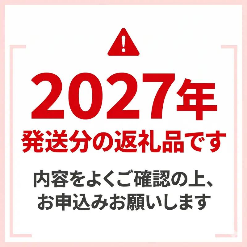 フルーツトマト 約1.2kg てるて姫 トマト 2027年産 