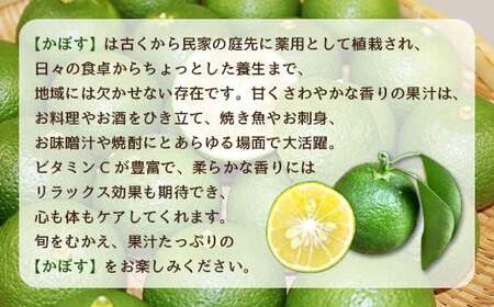 【2026年9月上旬-10月上旬発送予定】 さわやかな果汁たっぷり 竹田かぼす♪ 2kg 25玉前後（露地）
