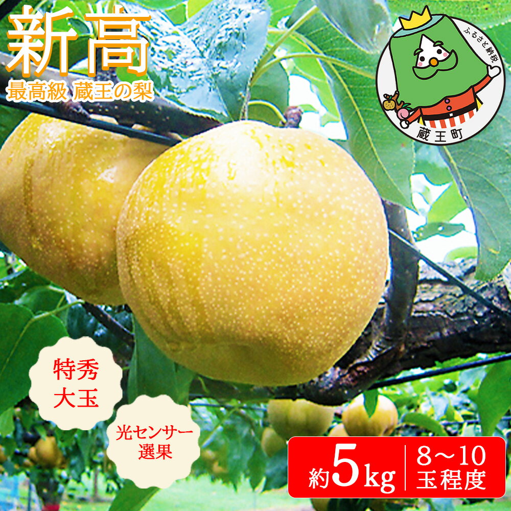 【ふるさと納税】【先行予約】最高級 蔵王の梨 新高 約5kg 特秀・大玉　【04301-0718】梨 なし 果物 くだもの スイーツ フルーツ デザート 甘い ジューシー 蔵王