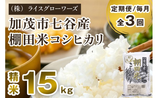 【令和7年産】【定期便3回毎月お届け】七谷産 棚田米 コシヒカリ 精米 15kg（5kg×3）《順次出荷》 白米 （株）ライスグローワーズ 新潟県 加茂市産 白米 米 お米 定期便