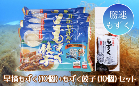 早摘みもずく（10袋）ともずく餃子（12個入×10袋）セット【勝連漁業協同組合】