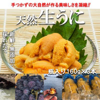 ふるさと納税 田野畑村 【予約・6月〜発送】岩手・三陸　小さな村のきれいな海で育った新鮮瓶入り　天然生うに(160g×3本)
