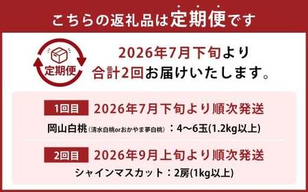 【2回定期便】 岡山白桃 （清水白桃orおかやま夢白桃） 4～6玉 （1.2kg以上）  ＆ シャインマスカット 2房 （1kg以上） 【2026年7月下旬から順次発送予定】 ／ くだもの 果物 果実