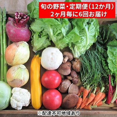 【ふるさと納税】【2ヶ月毎に6回お届け】 旬の野菜・定期便（12か月） セット 詰め合わせ 季節 季節の野菜 有機質 肥料 農薬 減農薬 不使用 和野菜 西洋野菜 山菜 果物 冷蔵便 鮮度 お楽しみ