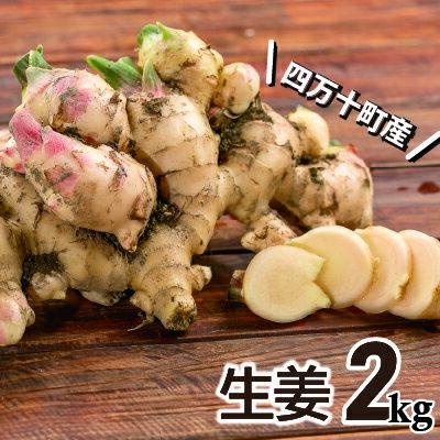【ふるさと納税】【予約受付】ミネラル豊富なエコ栽培の生姜 たっぷり2kg Fms-B09 しょうが ジンジャー おかず 野菜 大容量