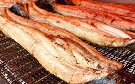 魚 鰻のかば焼き 1本 [AIEH004]うなぎ