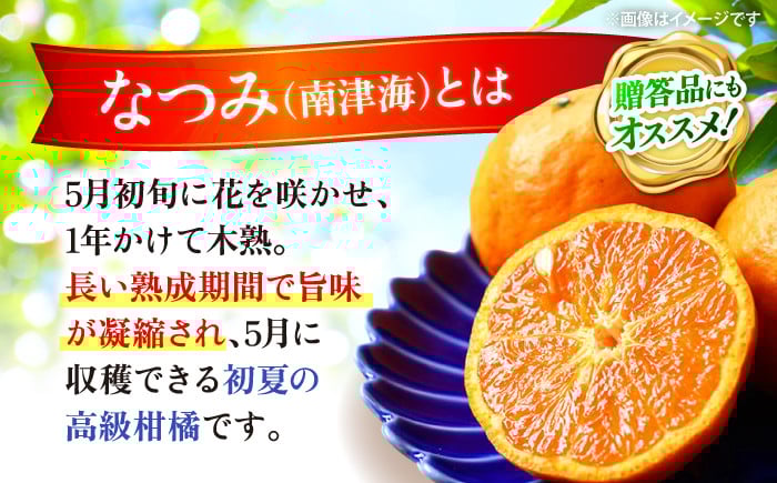 なつみ 5kg みかん マンダリン
