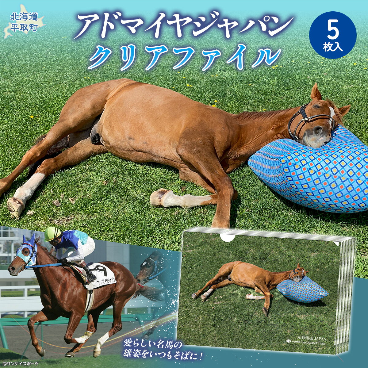 【ふるさと納税】【アドマイヤジャパン×Yogibo】クリアファイル5枚入り【ふるさと納税 人気 おすすめ ランキング 馬 競馬 競走馬 引退馬 アドマイヤジャパン 日高 北海道 平取町 送料無料】 BRTV046