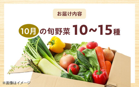 【数量限定】厳選！旬を味わう高槻野菜おまかせ詰め合わせセット 10月（10種～15種）　大阪府高槻市/高槻あぐり[AOCS016]