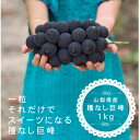 【ふるさと納税】【2025年先行予約】巨峰ぶどう(種なし) 　2房　1kg 以上　産地直送　山梨県山梨市牧丘産【配送不可地域：離島・沖縄県】【1535963】