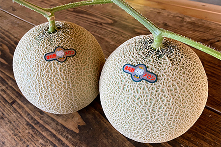 【発送月固定定期便】フルーツ定期便B 旬の美味しい果物を毎月1種全4回【配送不可地域：離島】【4014615】