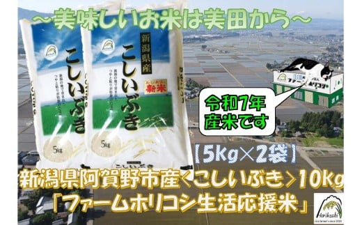 【令和7年産新米】生活応援米「ファームホリコシ」 こしいぶき 10kg（5kg×2袋） 白米 精米 新潟県 阿賀野市 3H12025
