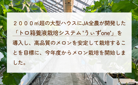 【訳あり】富山県産 アールスメロン（おまかせ計2個） 富山県 氷見市 メロン めろん 果物 くだもの フルーツ