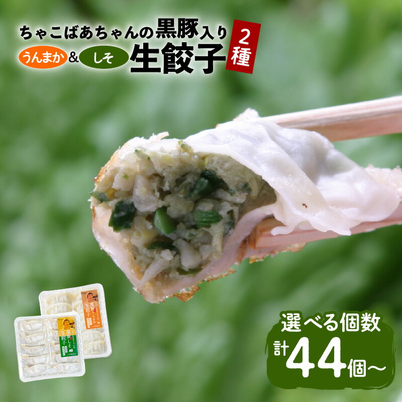【ふるさと納税】＜選べる＞ ちゃこばあちゃん 黒豚入り しそ入り うんまか しそ 生餃子 セット 44個 78個 100個 餃子 ぎょうざ ギョーザ シソ 紫蘇 黒豚 惣菜 もちもち 水餃子 スープ餃子 鍋 肉汁 サッパリ ビッグファイブ 鹿児島市 おすすめ ランキング プレゼント ギフト