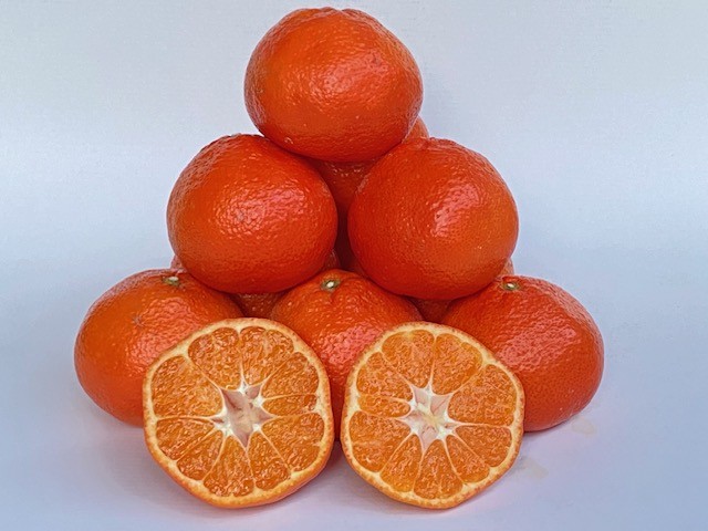
                  紅みかん3kg
                