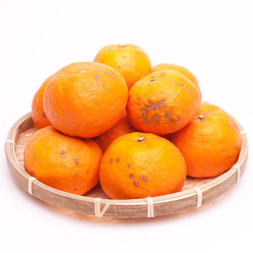 ［先行予約］家庭用 カラマンダリン2.5kg+250g（傷み補償分）［南津海・なつみ］［希少な春柑橘］［わけあり・訳あり］［みかんと同じように食べられます］［IKE68］