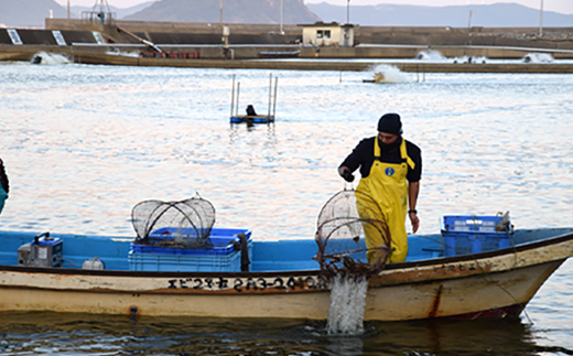 唐津特産活プロトン冷凍車海老と車えび醤(じゃん)のセット(250g×2P 醤90g) 刺身 フライ 煮付 ギフト