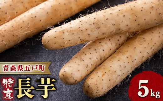 ＜青森県五戸町特産＞長芋　5kg【1017942】