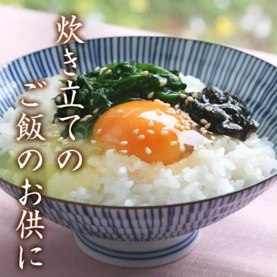 ふるさと納税 小豆島町 島乃香 徳用袋岩のり入り 500g×5袋 |  | 03
