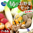 野菜 お試し 野菜セット お楽しみ 旬 新鮮 詰め合わせ 7～8品 果物 フルーツ ギフト 直送 農家 おまかせ お取り寄せ 産直直送 産直 冬 春 サラダ 詰合せ りんご きのこ