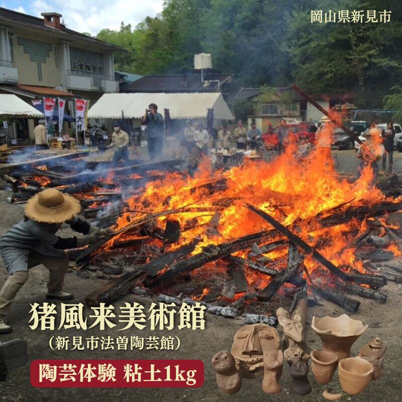 【ふるさと納税】岡山 新見 新見市 猪風来美術館 縄文 縄文アート 縄文土器 土偶 体験 作陶 陶芸 おすすめ 人気
