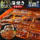 【ふるさと納税】(中)5P 三河一色 鰻 蒲焼き 5尾 (肝焼き付き) うなぎ かば焼き 肝焼き タレ付き セット お魚 湯煎 レンジ 惣菜 簡単調理 冷凍 幸田町 送料無料