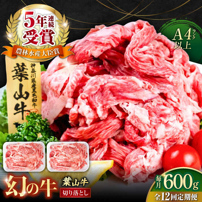 【ふるさと納税】【全12回定期便】葉山牛 切り落とし300g×2パック 計600g 国産牛 牛肉 切り落とし 薄切り 高級和牛 冷凍 黒毛和牛 国産 和牛 赤身 希少品種 小分け 横須賀 すき焼き すきやき ぎゅうにく きりおとし 大容量 神奈川銘品 お取り寄せ【株式会社羽根】[AKAG029]