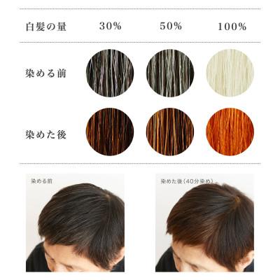 ふるさと納税 瑞穂町 自然素材100%、髪にも肌にも優しい白髪染め　ナイアード「ヘナ+ハーブ」 (400g) |  | 01