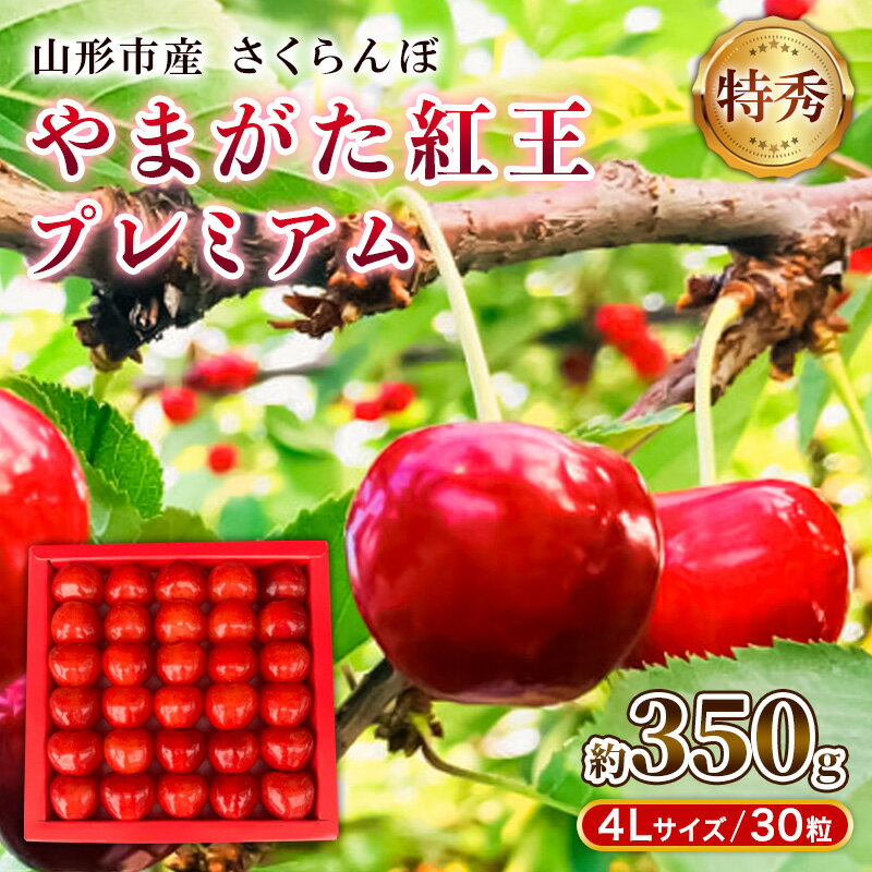 【ふるさと納税】山形市産さくらんぼ「やまがた紅王プレミアム」 約350g 特秀品 4L 30粒 【令和8年産先行予約】FS25-037