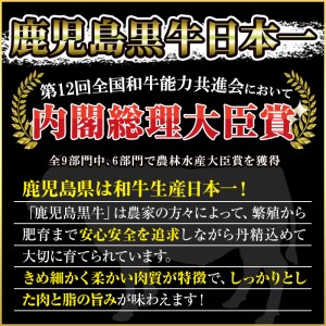 No.347 ＜肉質等級5等級＞(E-301)鹿児島黒牛サーロインステーキ2枚・すきやきセット(計1kg)国産 九州産 牛肉 黒牛 黒毛和牛 和牛 ステーキ スライス サーロイン リブロース 肩ロース