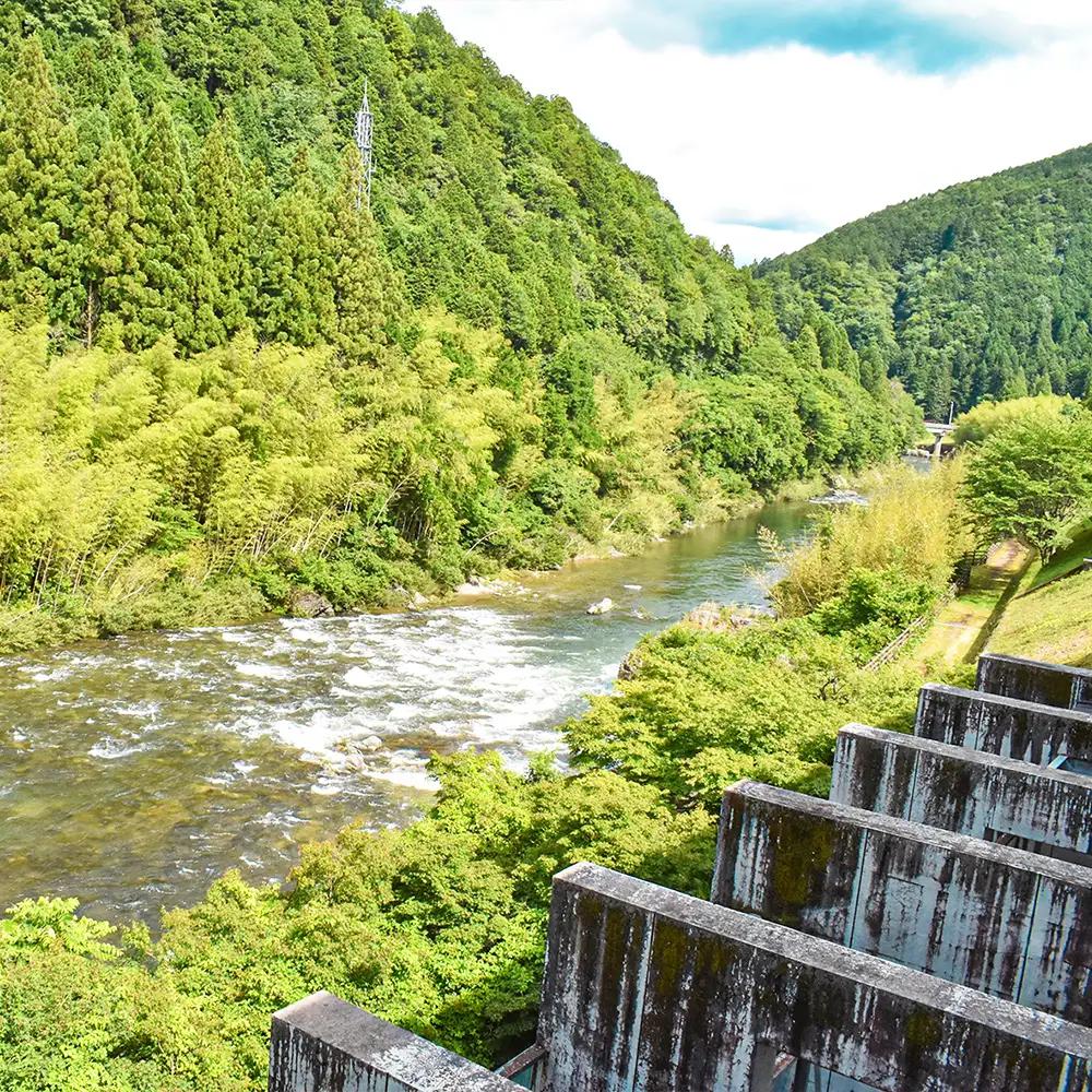 下呂温泉【道の駅 飛騨金山ぬく森の里温泉】宿泊補助券（6,000円分）【a019-2】