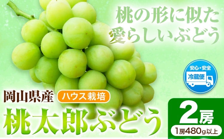 
                  岡山県産桃太郎ぶどう 2房（480g以上）ハウス栽培 先行受付 《7月中旬‐8月下旬頃出荷》【配送不可地域あり】
                