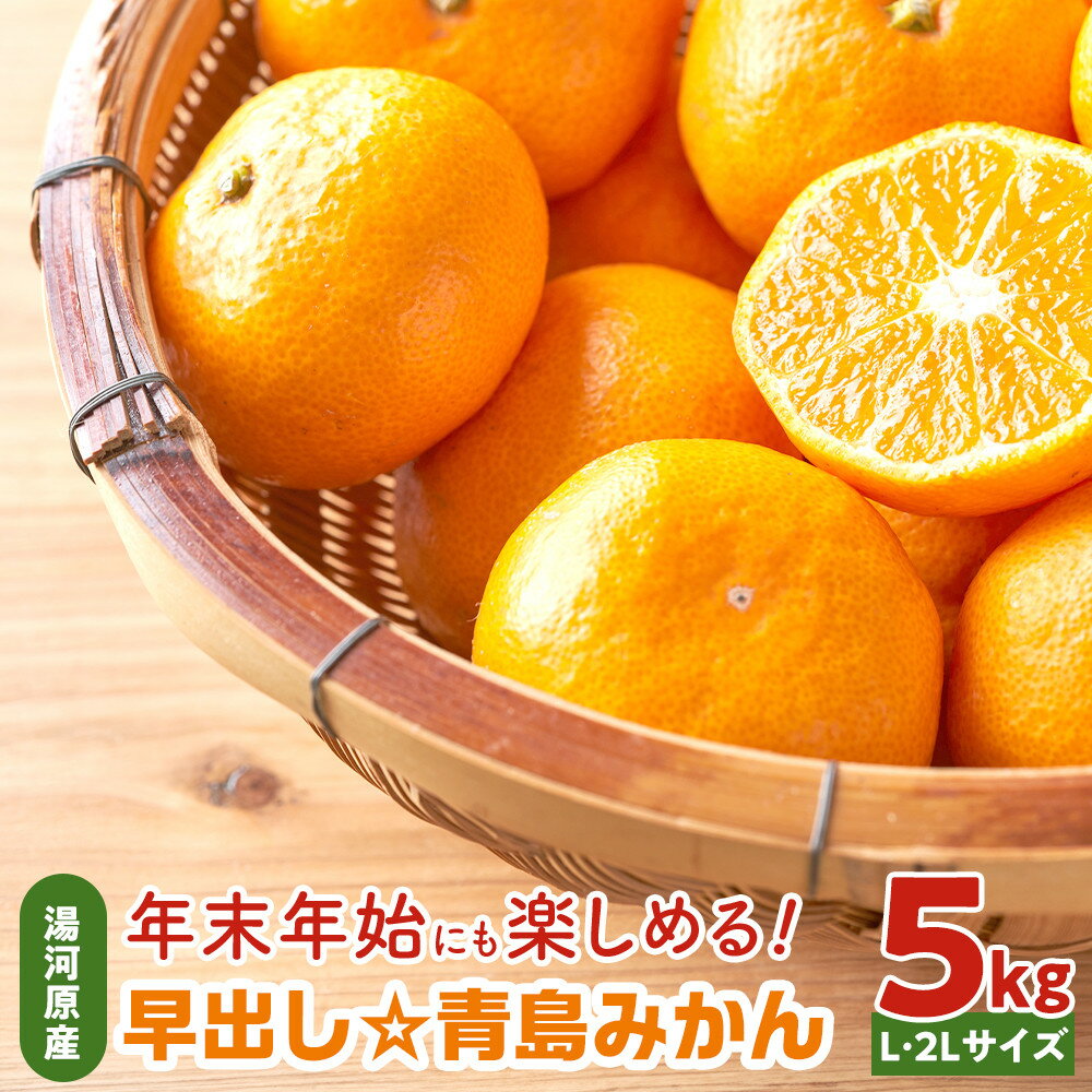 【ふるさと納税】年末年始にも楽しめる　早出し　青島みかん　5kg　2026年12月下旬頃～2027年1月上旬に発送予定 | 湯河原町 青島みかん 5kg フルーツ 蔵出し貯蔵 濃厚
