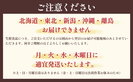 季節の旬野菜 おまかせセット 6種 4回 季節定期便 （農薬・化学肥料不使用）オルタッリャ 《5月・8月・11月・2月に発送予定》【配送不可地域あり】 