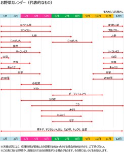 【 野菜定期便 】 野菜定期便 6回 偶数月発送 早期予約 2026年2月より順次発送