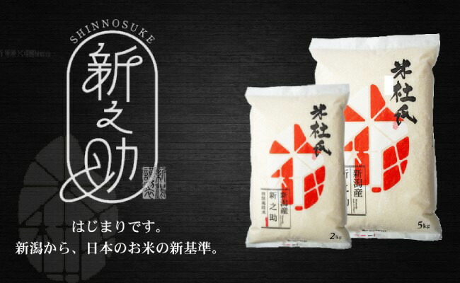 【令和8年産新米】12ヶ月定期便 特別栽培米 新之助 10kg (5kg×2袋)×12回 米杜氏 壱成 白米 精米 大粒 つや 光沢 弾力 芳醇 1H30336
