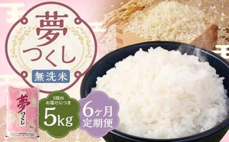 【6ヶ月定期便】 無洗米 食味鑑定士厳選 夢つくし 5kg×6回 計30kg 米 こめ コメ お米 精米 単一原料米 ごはん ご飯 ライス おにぎり