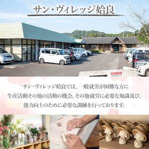 a998 ネコのマグカップとマドラーのセット赤・青の2色(計2組)【サン・ヴィレッジ姶良】姶良市 マグカップ コップ セット 食器 インテリア 雑貨 手作り ハンドメイド