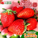 【ふるさと納税】【訳あり】とちおとめ 320g×4パック 約1.2kg グランデサイズ　※2025年1月中旬頃より順次発送予定