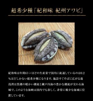 和歌山産煮アワビ 姿煮 【紀州湯浅金山寺味噌使用】 160g【riz202】