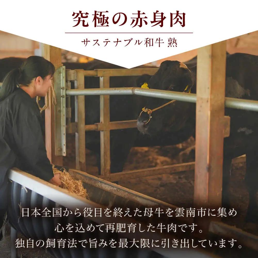 牛肉 サステナブル和牛 熟 鍋守 赤のもつ鍋セット 4-5人前 モツ500g  [AIAT006] 